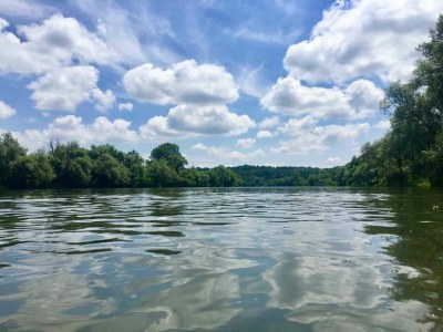 Holiday house Holiday Home Lasinja near Zagreb & Nature Park - Environment photo 34