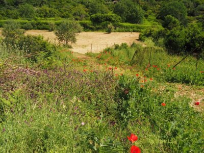 Apartment Courtyard Stay in Town - Environment photo 30