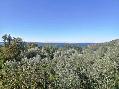 Holiday house Ferienhaus in Starigrad bei Paklenica - Environment photo 20