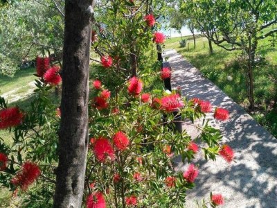 Holiday house Ferienhaus in Starigrad bei Paklenica - Outdoor photo 41