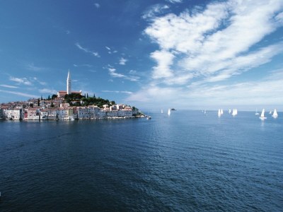 Villa Villa in Baderna with Private Pool - Environment photo 37