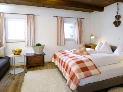 Holiday house Bauernhaus in Hollersbach nahe KitzSki - Outdoor photo 19