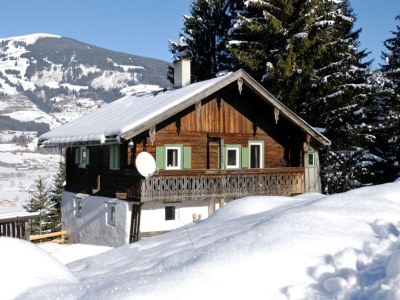 Holiday house Bauernhaus in Hollersbach nahe KitzSki - Outdoor photo 20