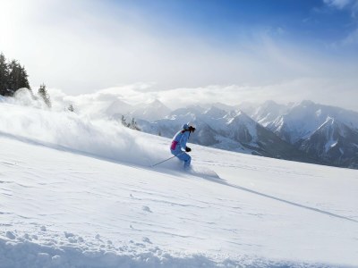 Holiday house Bauernhaus in Hollersbach nahe KitzSki - Environment photo 33