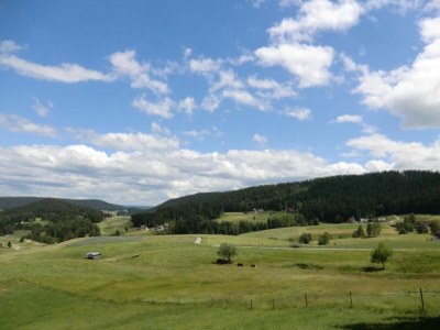 Apartment Ferienwohnung in Lauterbach im Schwarzwald - Environment photo 37