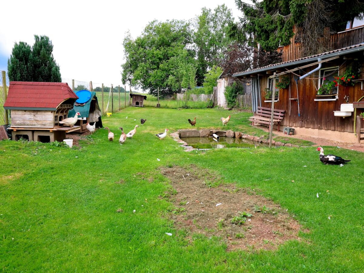 Apartment Wohnung in Lauterbach nahe Skipisten - Outdoor photo 3