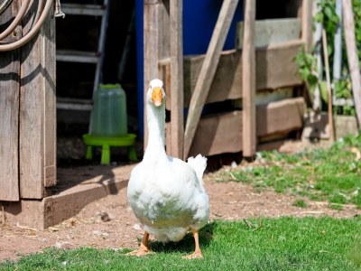 Apartment Wohnung in Lauterbach nahe Skipisten - Outdoor photo 6
