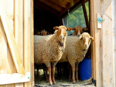 Apartment Wohnung in Lauterbach nahe Skipisten - Outdoor photo 7