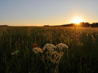 Apartment Wohnung in Lauterbach nahe Skipisten - Environment photo 33