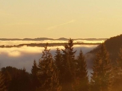 Apartment Wohnung in Lauterbach nahe Skipisten - Environment photo 35