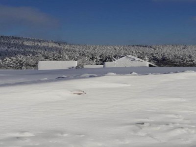 Apartment Wohnung in Lauterbach nahe Skipisten - Environment photo 38