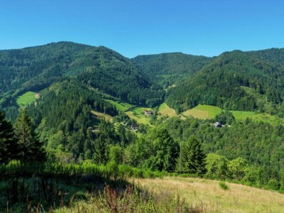 Apartment Ferienwohnung, Furtwangen - Environment photo 22