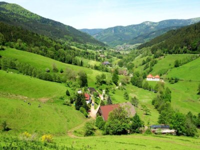 Apartment Ferienwohnung, Furtwangen - Environment photo 24