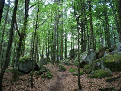 Apartment Ferienwohnung, Furtwangen - Environment photo 29