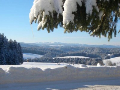 Apartment Ferienwohnung, Furtwangen - Environment photo 37