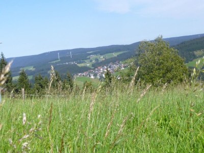 Apartment Ferienwohnung, Furtwangen - Outdoor photo 39