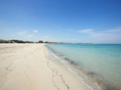 Holiday park Country House in Apulia near Alberobello - Environment photo 23
