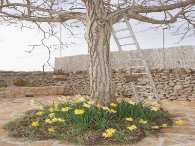 Holiday house Trulli-Style Chalet near Forest Walks - Outdoor photo 10
