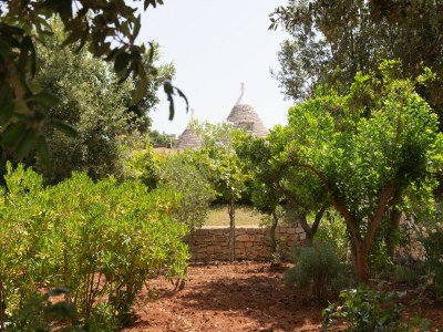 Holiday house Ferienhaus in Valle d'Itria mit Pool - Outdoor photo 16