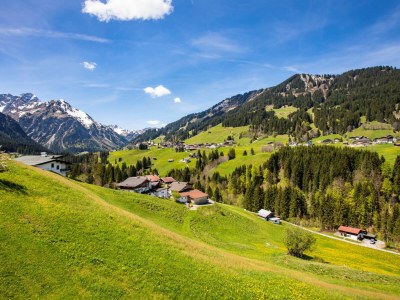 Holiday apartment Birke im Hoefle - Outdoor photo 11