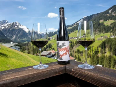 Holiday apartment Birke im Hoefle - Outdoor photo 12