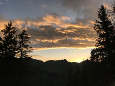 Holiday apartment Birke im Hoefle - Environment photo 22