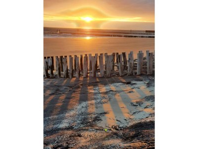 Apartment Duinweg 18-11 - Environment photo 15