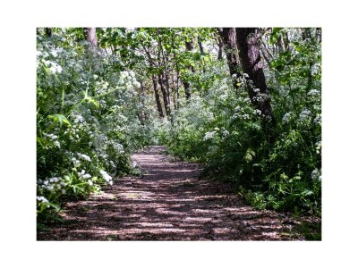 Holiday house Joossesweg 171 - Environment photo 15