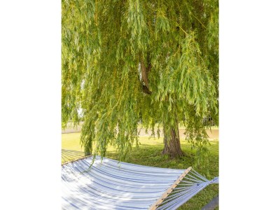 Villa Le Petit Mas Rey - Outdoor photo 37