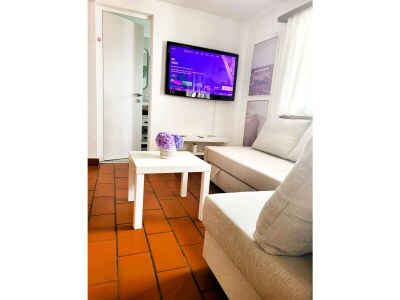 Apartment Just Restored close to Franklin College and Lugano - Features photo 9