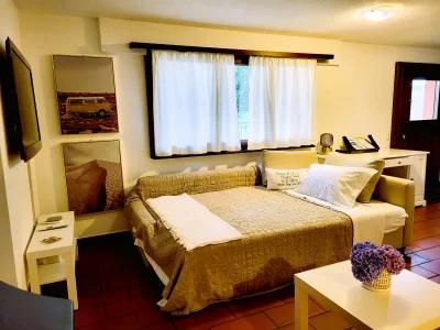 Apartment Just Restored close to Franklin College and Lugano - Features photo 10