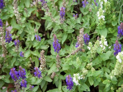 Apartment Wohnung in Reith nahe Skipisten - Outdoor photo 31