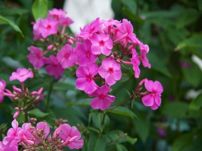 Apartment Wohnung in Reith nahe Skipisten - Outdoor photo 32