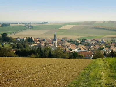 Apartment Haus-Nr: ELS02075-SYC - Outdoor photo 5