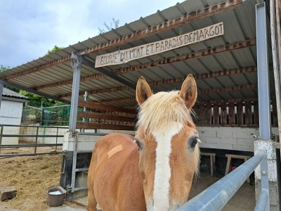 Apartment Haus-Nr: ELS02075-SYC - Outdoor photo 16