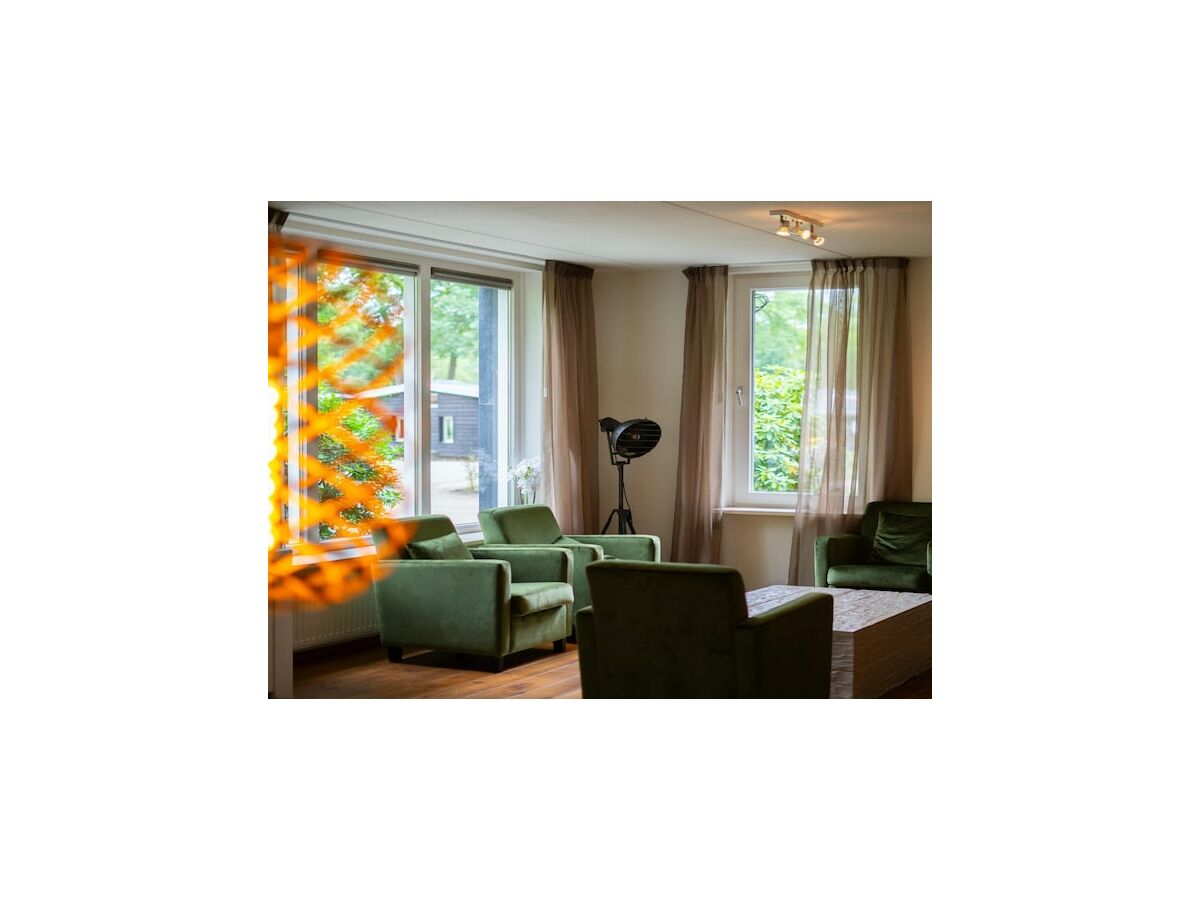 Holiday park Spacious Villa in Hoenderloo - Features photo 4