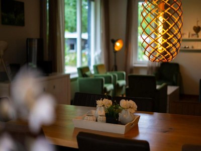 Holiday park Spacious Villa in Hoenderloo - Features photo 7