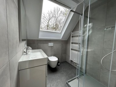 Holiday park Spacious Villa in Hoenderloo - Features photo 11