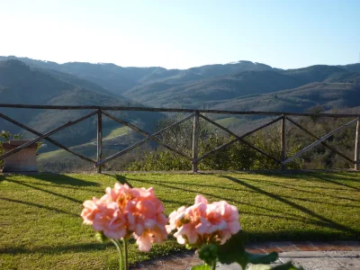 Holiday apartment Frantoio sotto - Outdoor photo 9