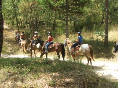 Holiday apartment Frantoio sotto - Environment photo 23