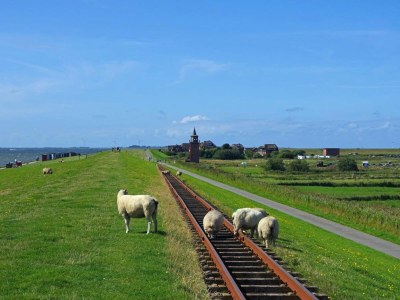 Holiday house Haus in Niebüll nahe Wattenmeer - Environment photo 20