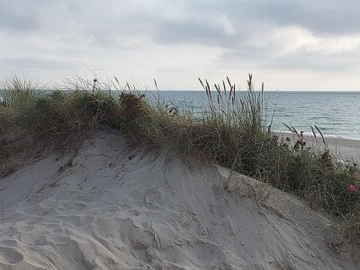Holiday house Haus in Niebüll nahe Wattenmeer - Environment photo 22