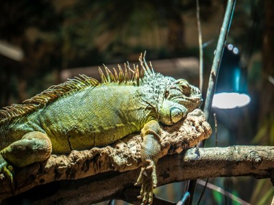 Holiday park Appartements im Freizeitpark Weissenhäuser Strand - Outdoor photo 14