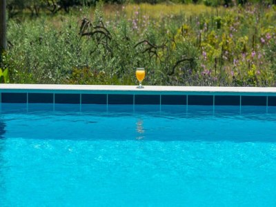 Apartment Villa Harmonia mit Terrasse und Gemeinschaftspool - Outdoor photo 17