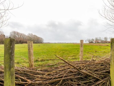 Holiday house House in Grijpskerke near Seabeach - Outdoor photo 6