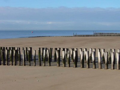Holiday house Wohnung in Zoutelande am sonnigen Strand - Environment photo 30