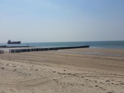 Holiday house Wohnung in Zoutelande am sonnigen Strand - Environment photo 35