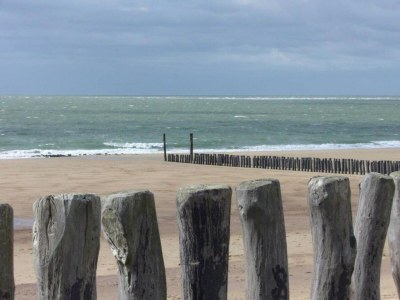 Holiday house Wohnung in Zoutelande am sonnigen Strand - Environment photo 36