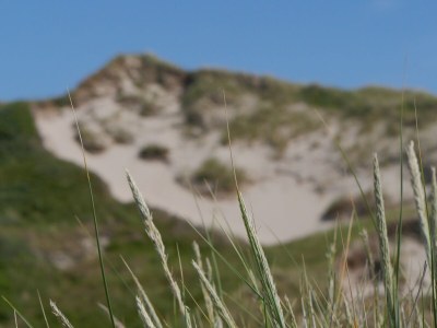 Holiday apartment DuneSand - Environment photo 31