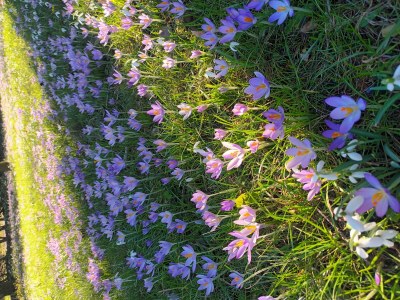 Apartment 2-Bett-Ferienwohnung Dusche/WC, 1 Schlafraum - Outdoor photo 12
